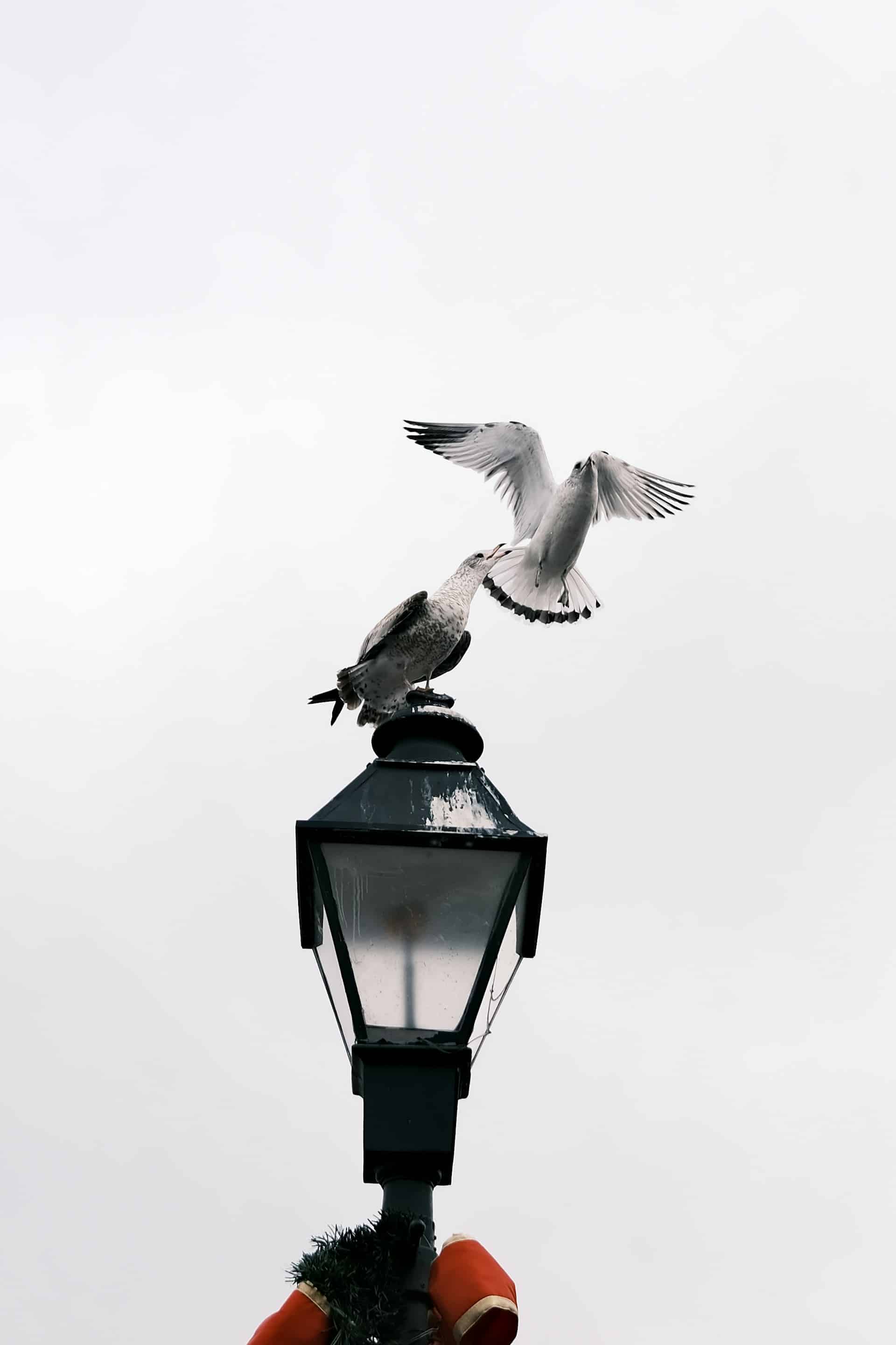 漫兴