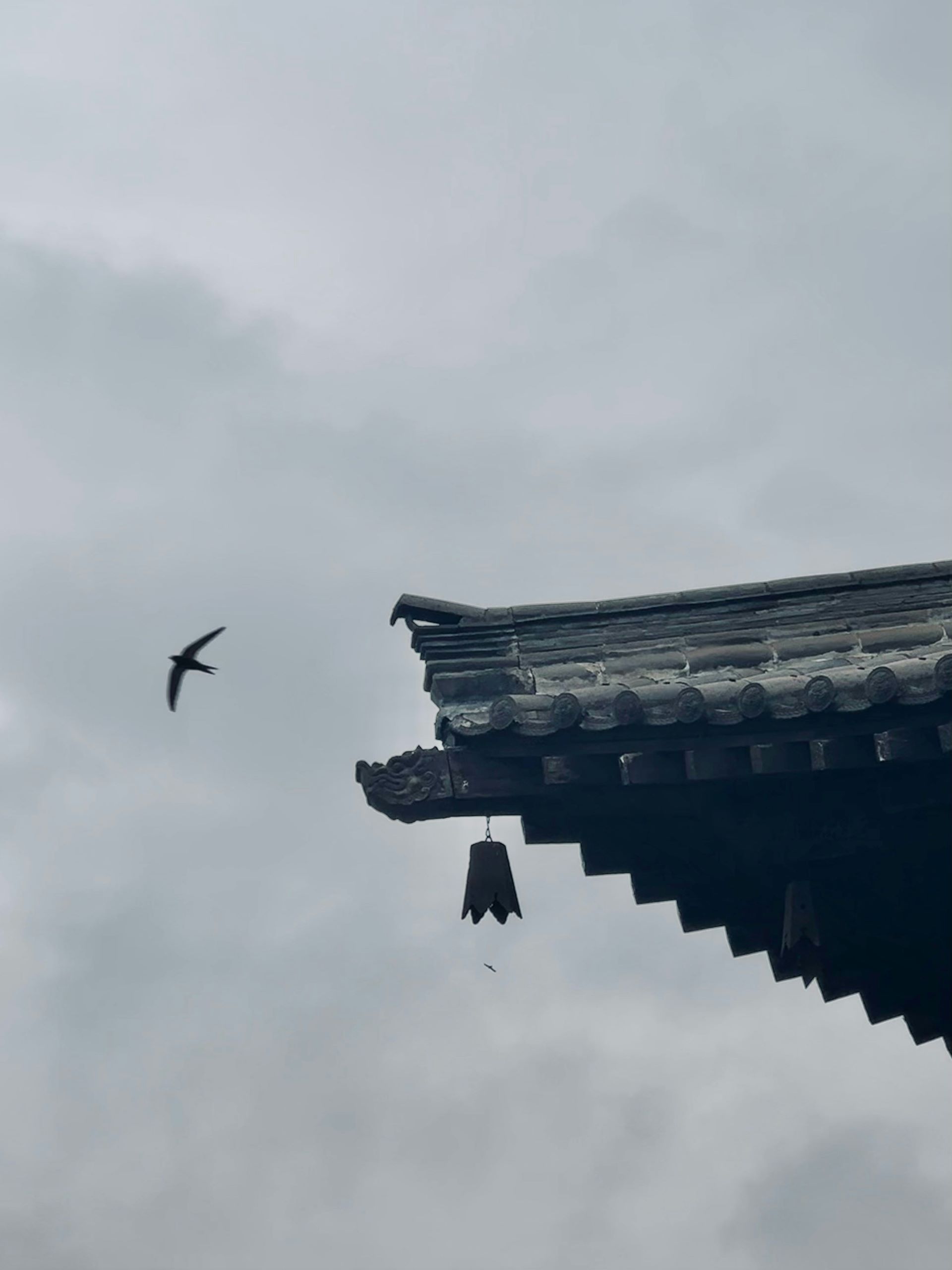寒妖