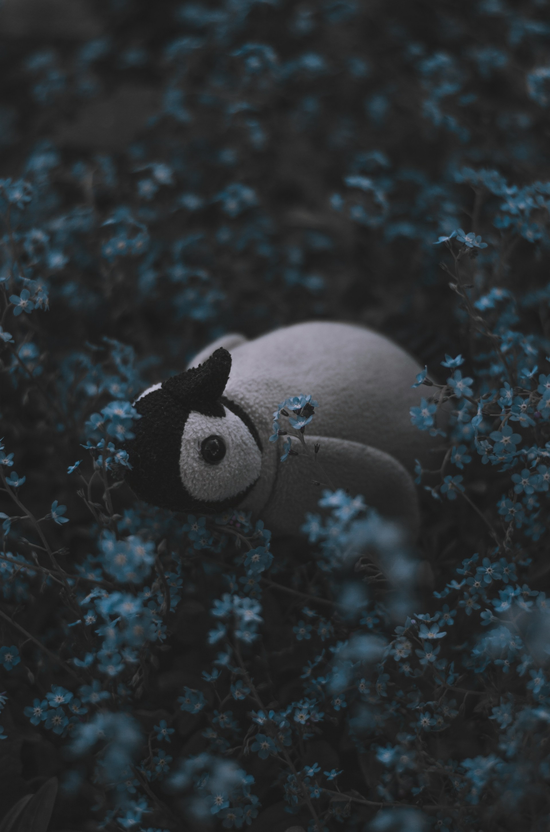 不要