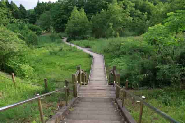 一剪梅·知春年会拈得“知”字韵